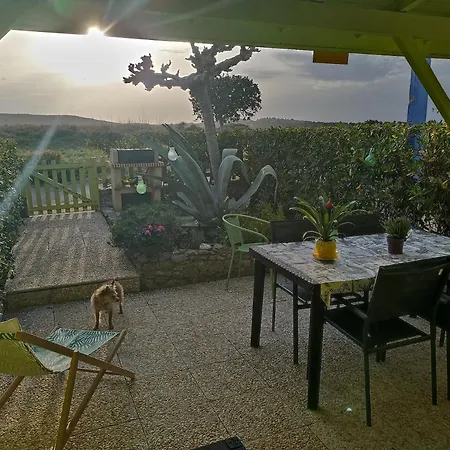 Bambou Nature Saint-Pierre-la-Mer (Aude)