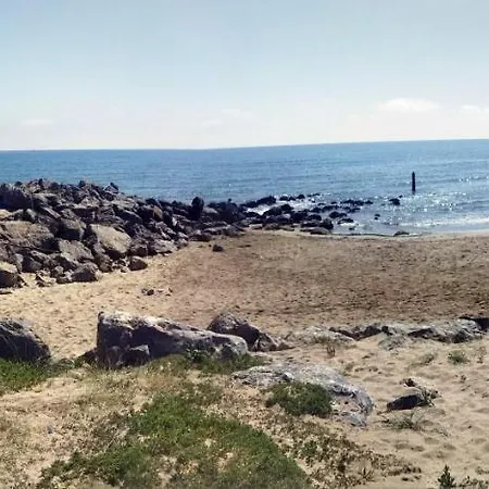 Semesterbostad Bambou Nature *