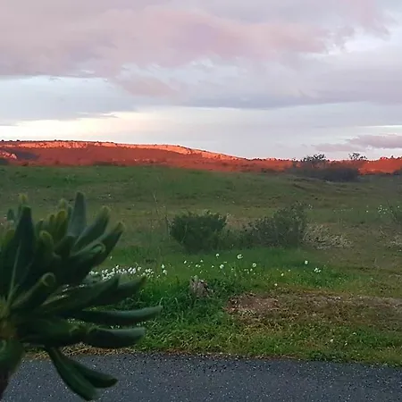 Semesterbostad Bambou Nature *