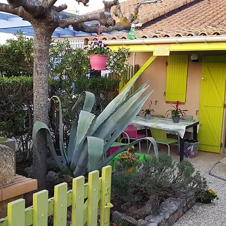 Bambou Nature * Saint-Pierre-la-Mer (Aude)