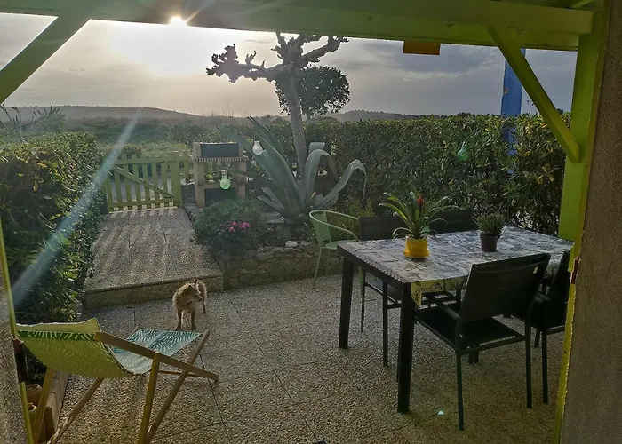 Bambou Nature Saint-Pierre-la-Mer (Aude)