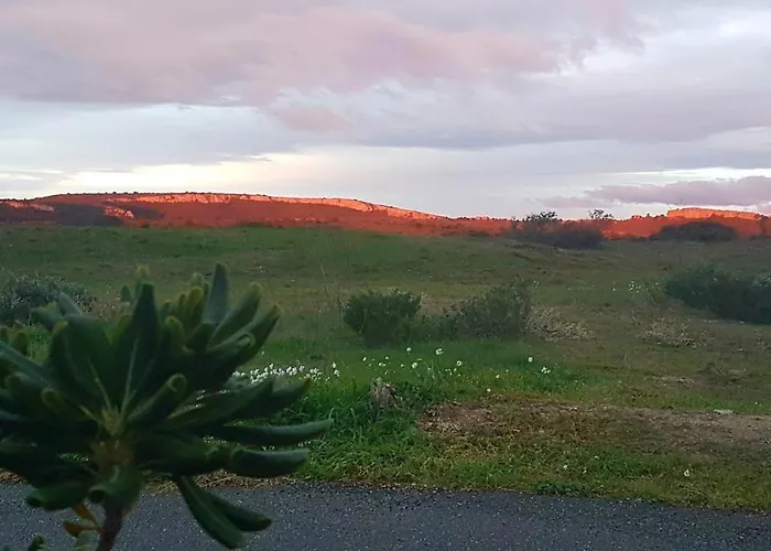 Vakantiehuis Bambou Nature *