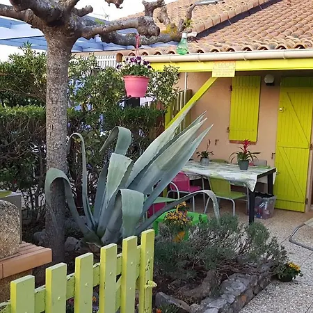 Bambou Nature * Saint-Pierre-la-Mer (Aude)