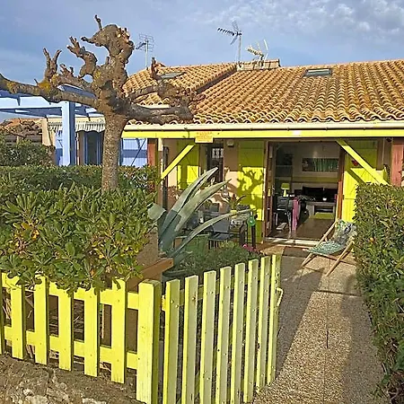 Bambou Nature Saint-Pierre-la-Mer (Aude)