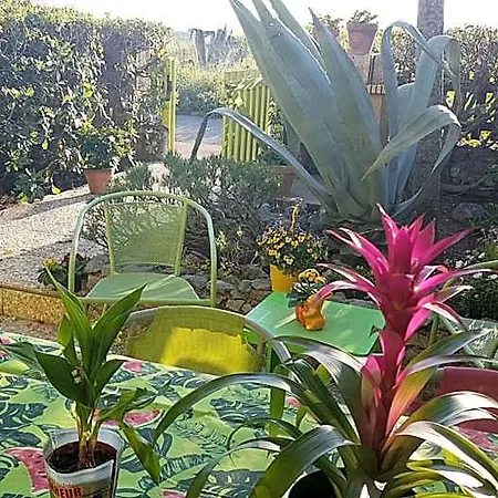 Bambou Nature Hébergement de vacances